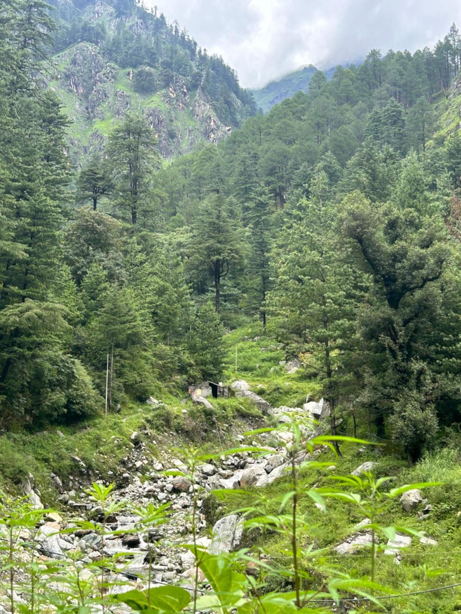 Formosa Hostel & Cafe Kasol Eksteriør bilde